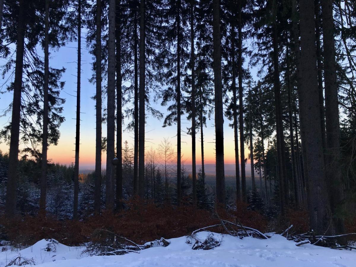 Fewo Harzromantik Braunlage Eksteriør bilde