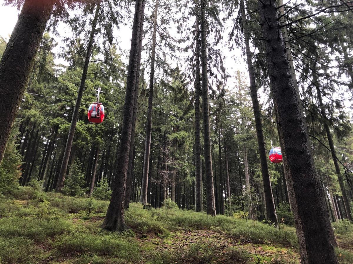 Fewo Harzromantik Braunlage Eksteriør bilde